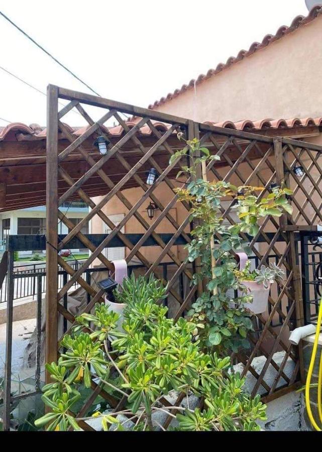 Sady'S House Apartment Yimnon Exterior photo